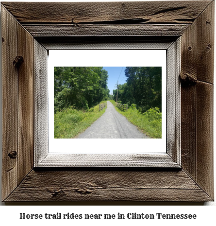 horse trail rides near me in Clinton, Tennessee